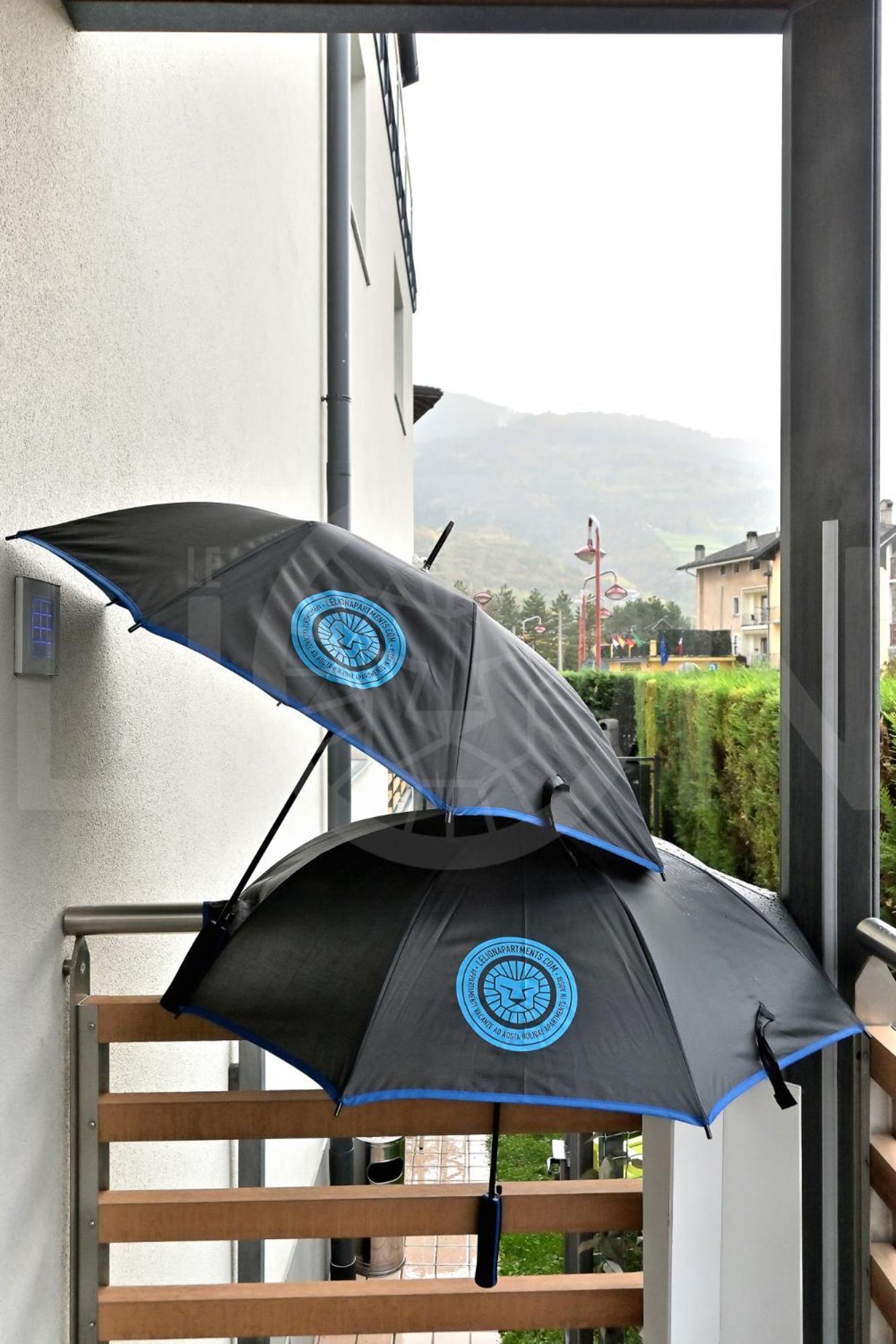 Le Lion - Bike & Apartamento *