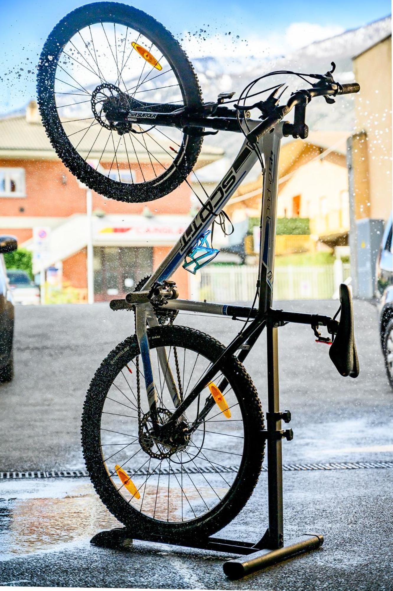 Le Lion - Bike &